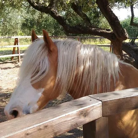 Farm stay La Casa Del Contadino *