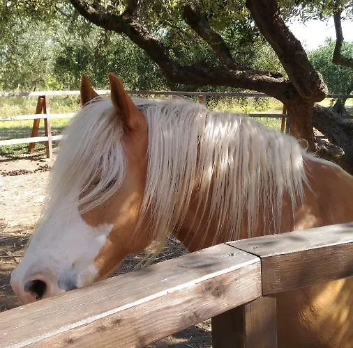 Фермерский дом La Casa Del Contadino *